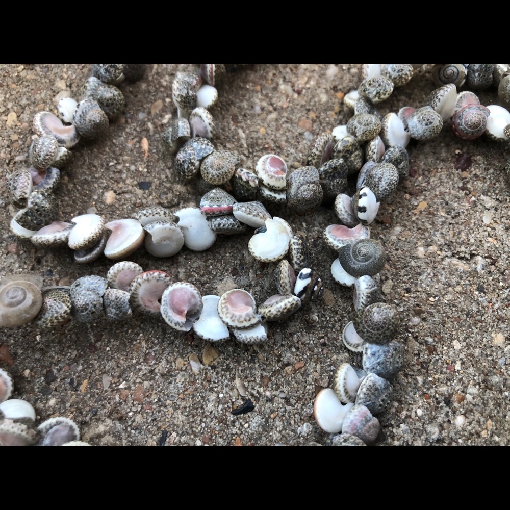 Micro Shell necklace - Picture 5 of 5